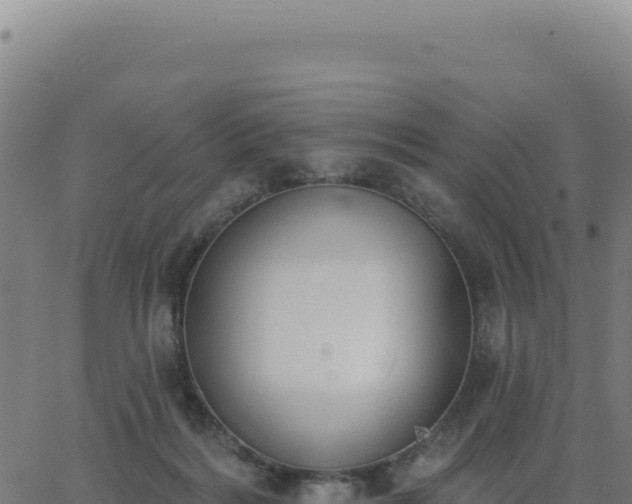 X0000062860220200601201737