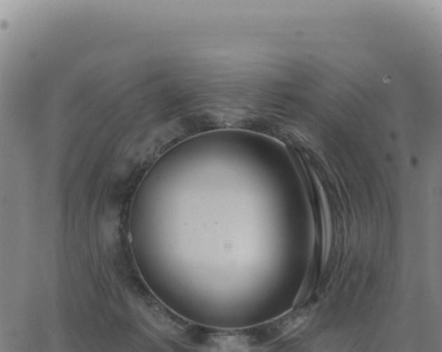 X0000062860221200601201737