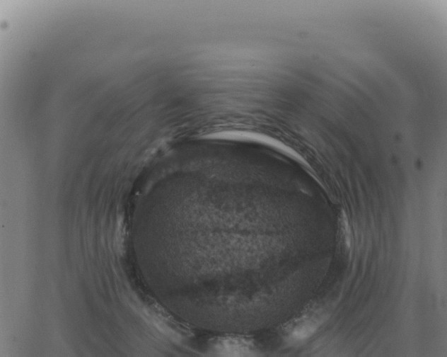 X0000062860223200601201737