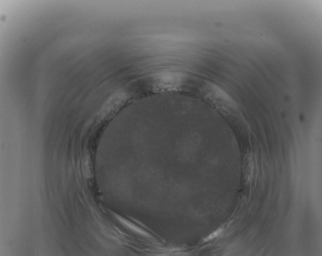 X0000062860224200601201737