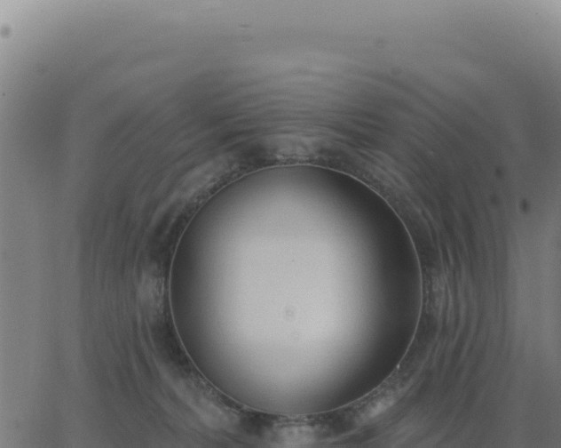 X0000062860228200601201737