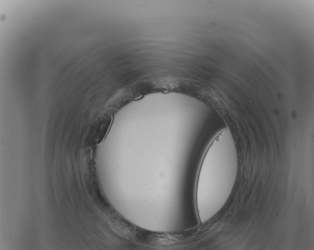 X0000062860229200601201737