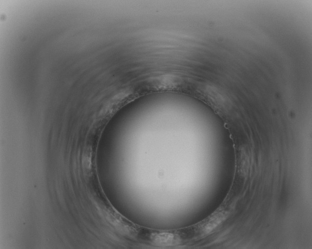 X0000062860230200601201737