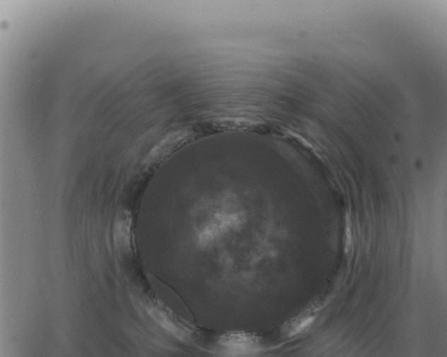 X0000062860231200601201737