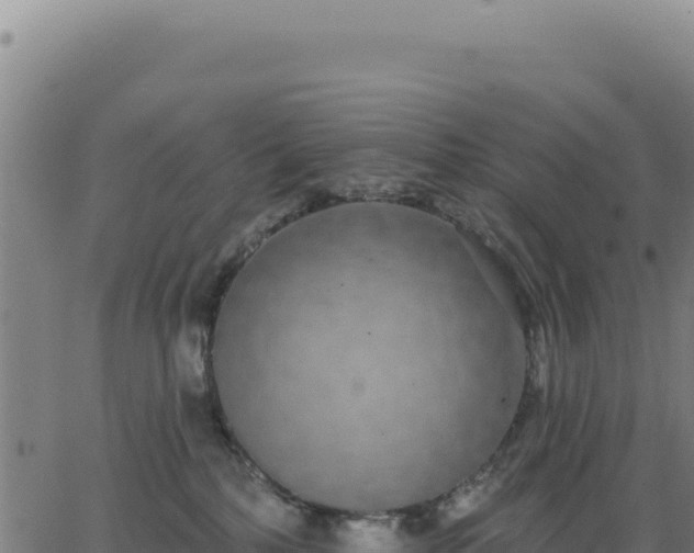 X0000062860232200601201737