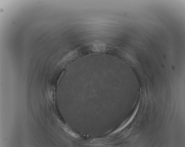 X0000062860233200601201737