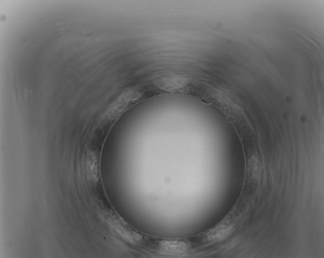 X0000062860234200601201737