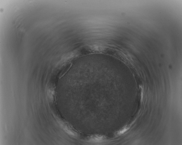 X0000062860235200601201737