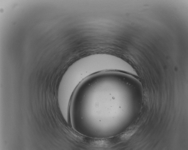 X0000062860237200601201737