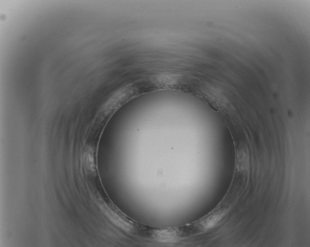 X0000062860238200601201737