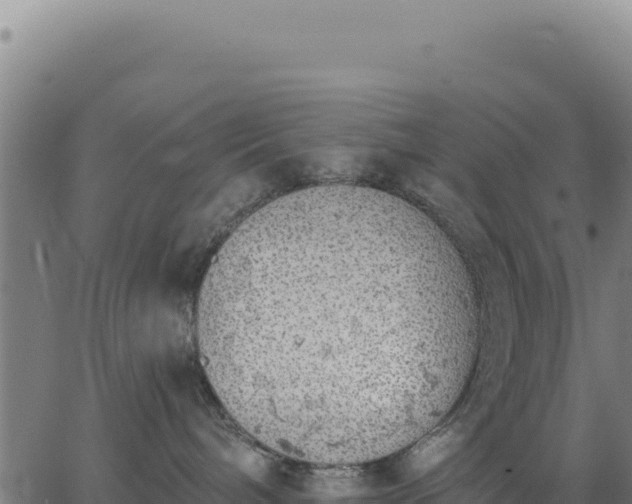 X0000062860240200601201737