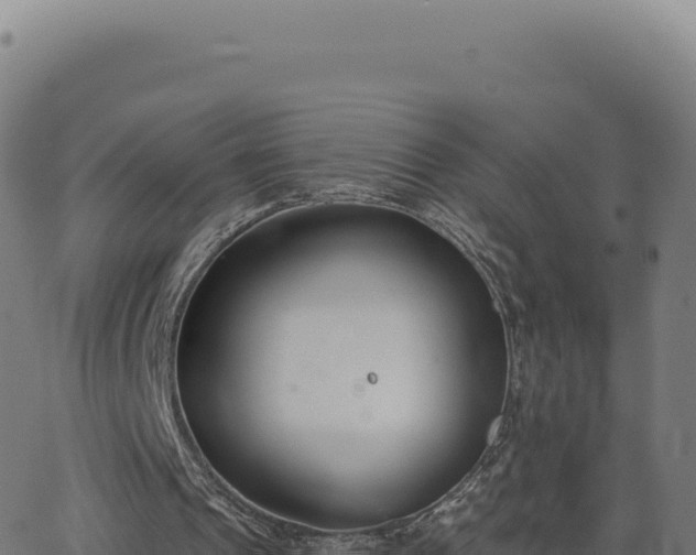 X0000062860241200601201736