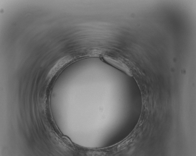 X0000062860242200601201736