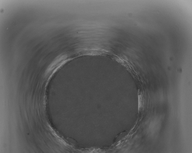 X0000062860243200601201736