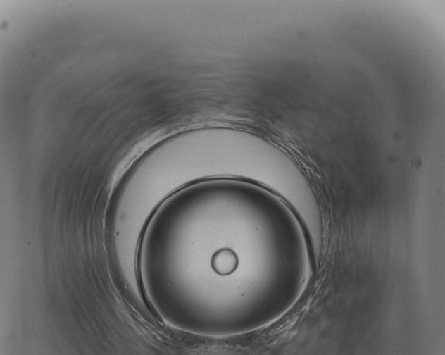 X0000062860244200601201736