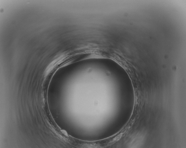 X0000062860245200601201736