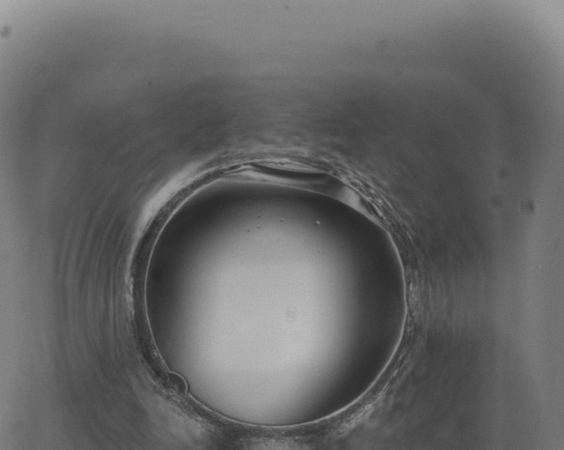 X0000062860246200601201736