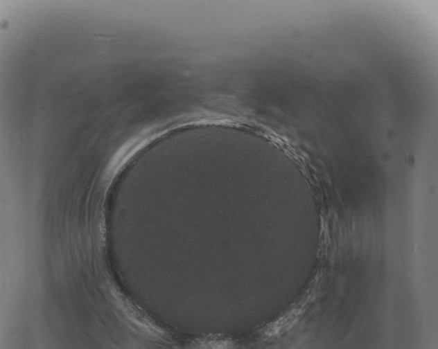 X0000062860247200601201736