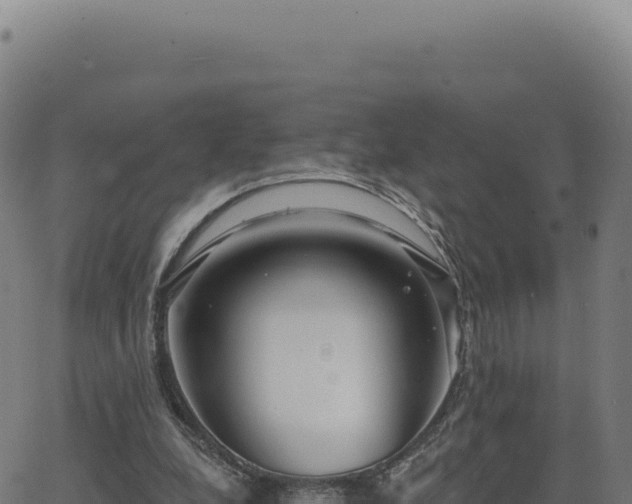 X0000062860248200601201736