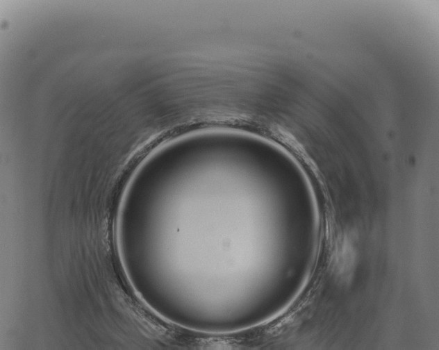 X0000062860249200601201736