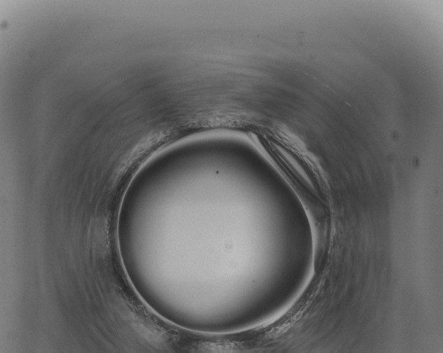 X0000062860250200601201736