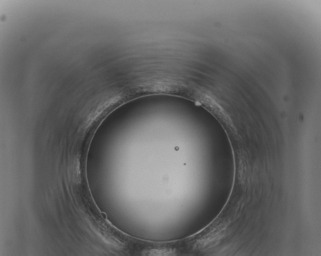 X0000062860251200601201736