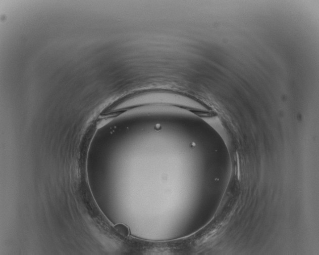 X0000062860252200601201736