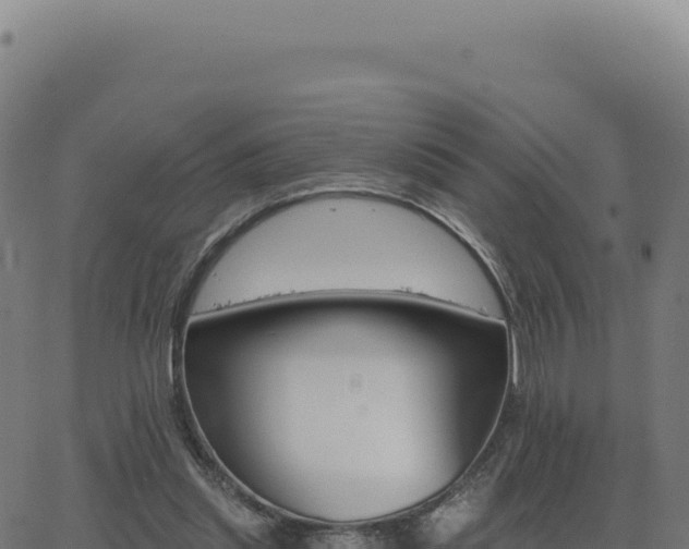 X0000062860253200601201736