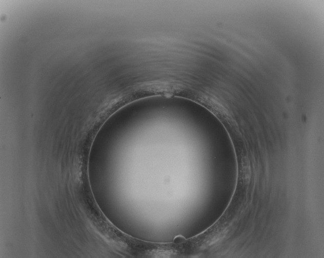 X0000062860255200601201736