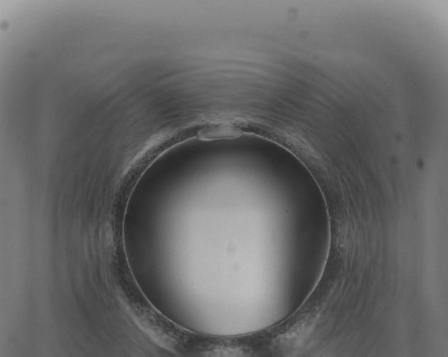 X0000062860256200601201736