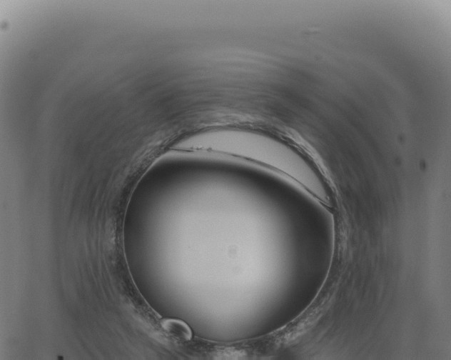 X0000062860257200601201736