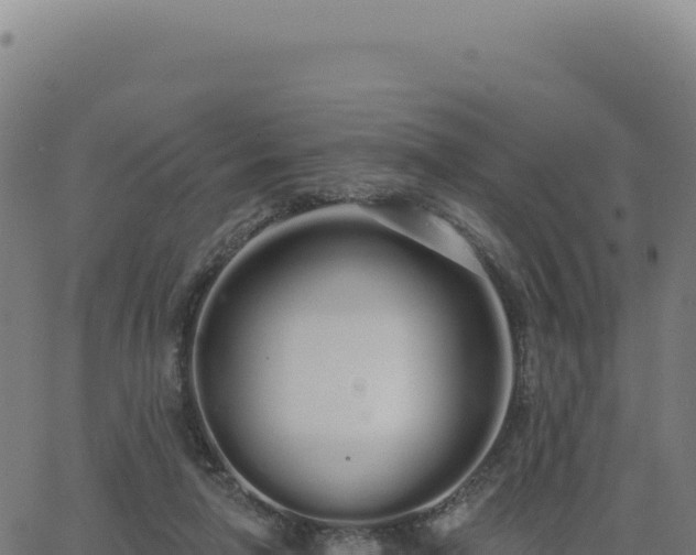 X0000062860258200601201736