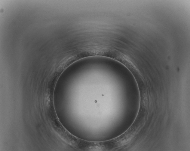 X0000062860259200601201736