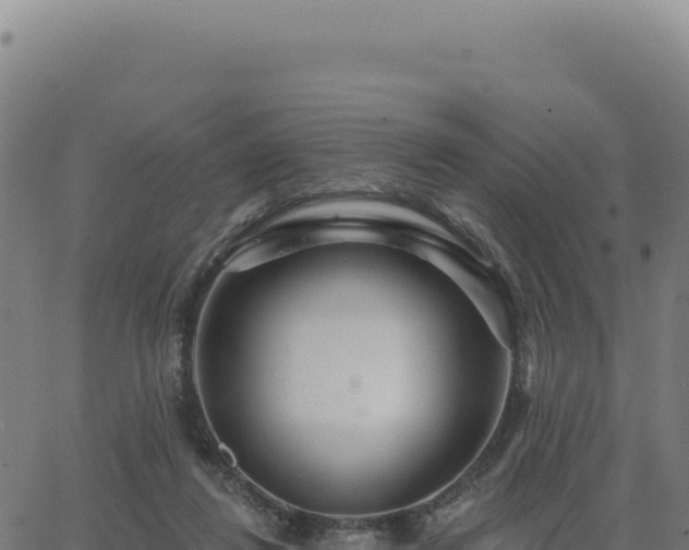 X0000062860260200601201736