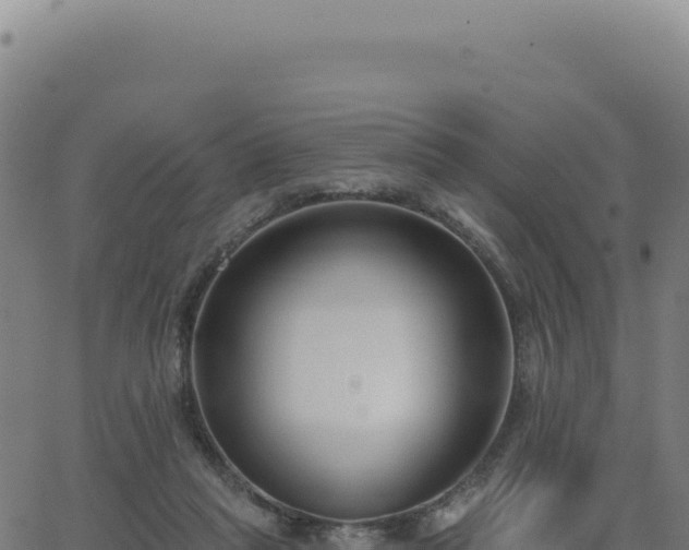 X0000062860261200601201736