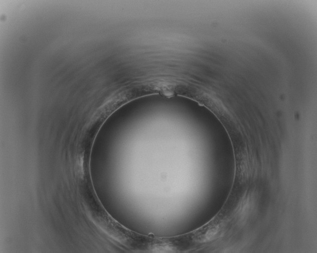 X0000062860262200601201736