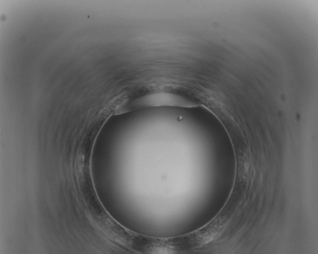 X0000062860263200601201736