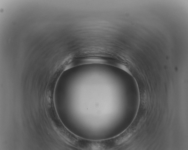 X0000062860264200601201736