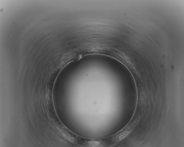 X0000062860265200601201736