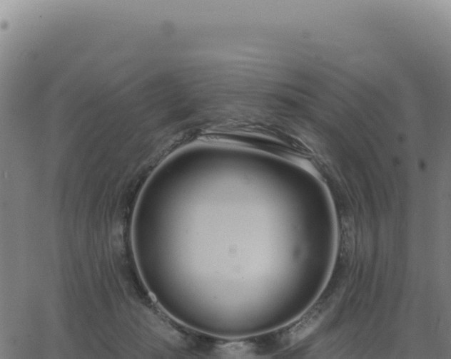 X0000062860269200601201736