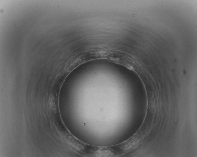 X0000062860270200601201736