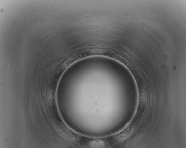 X0000062860271200601201736