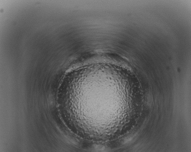 X0000062860272200601201736