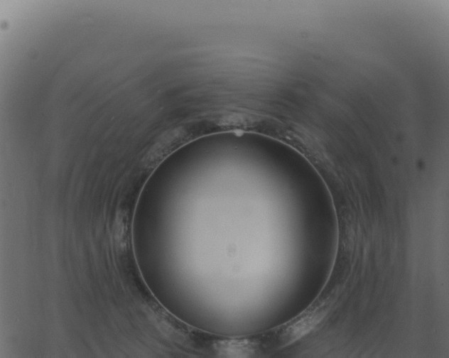 X0000062860273200601201736