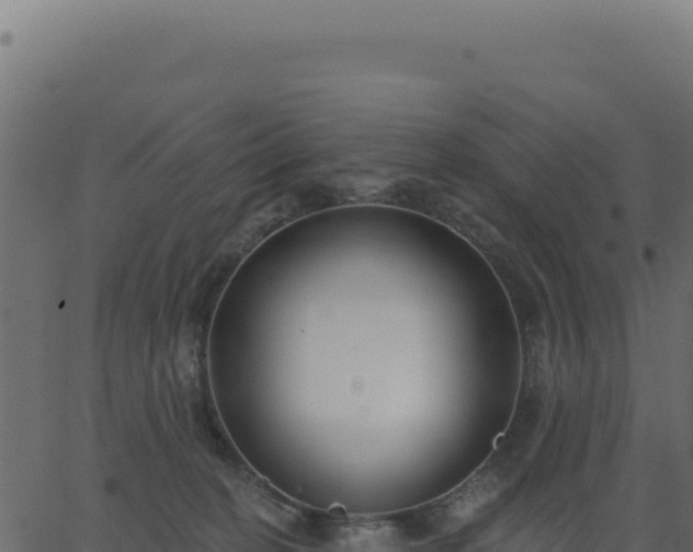 X0000062860274200601201736