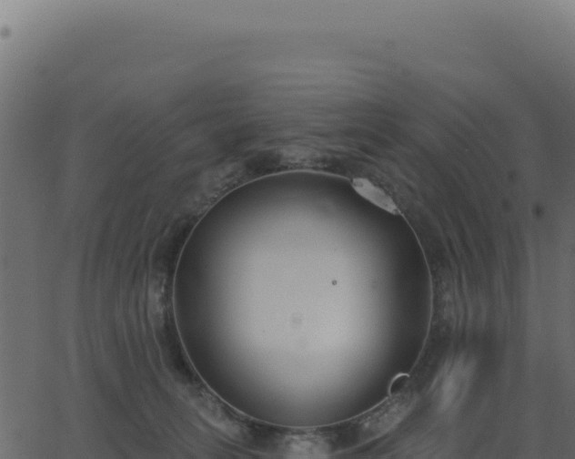 X0000062860275200601201736