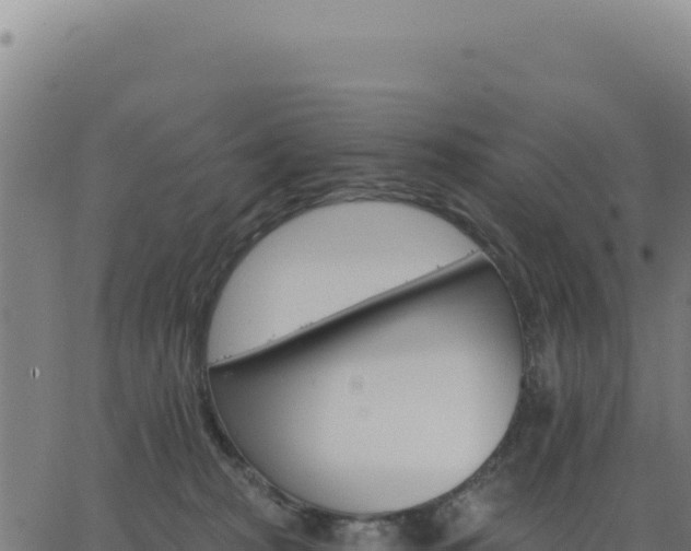 X0000062860277200601201736