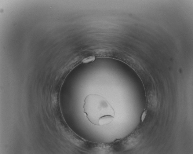 X0000062860278200601201736