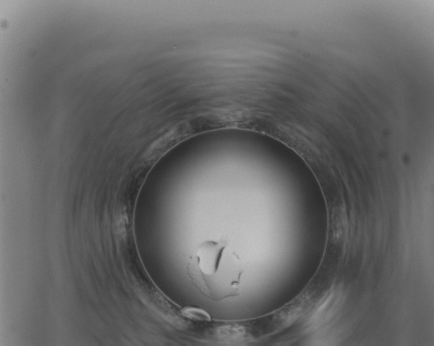 X0000062860279200601201736