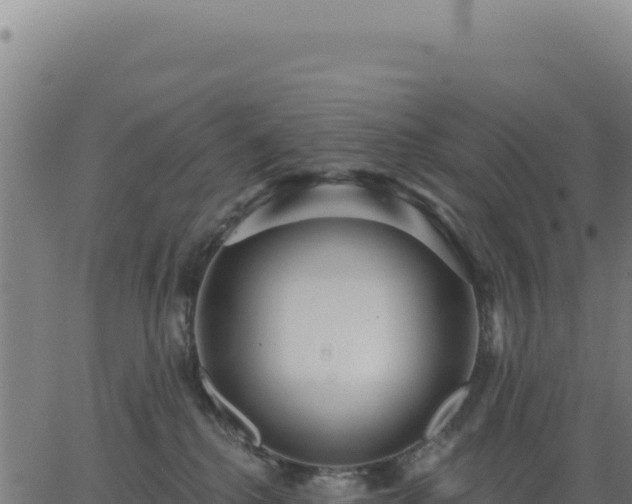 X0000062860280200601201736